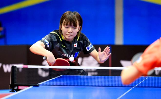 系以优秀的 系以优秀的